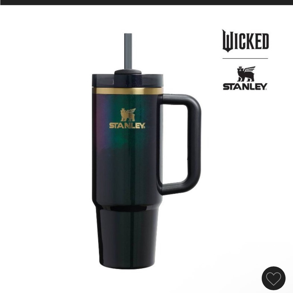 NWT Stanley Wicked 30 oz Stainless Steel H2.0 Flowstate Elphaba For Good